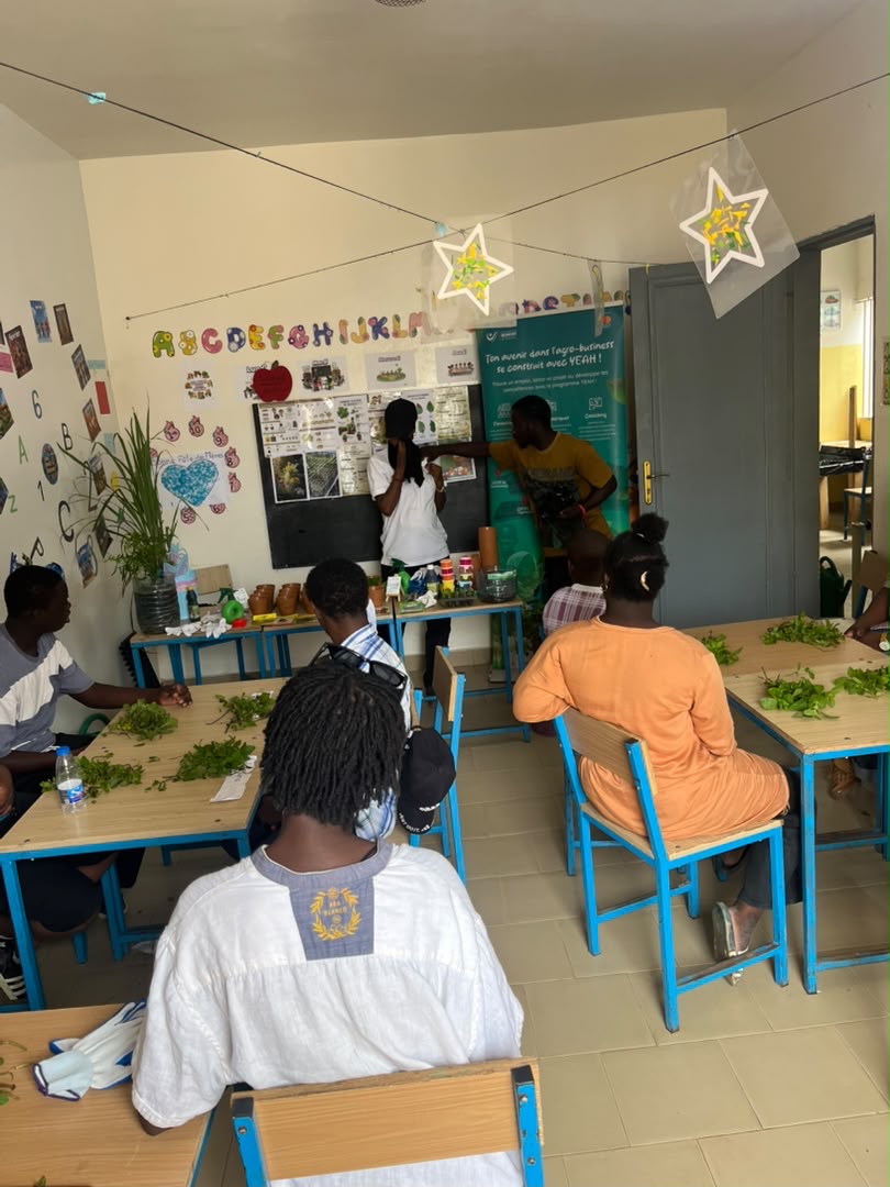 Presentation du programme YEAH sur l'agro-business